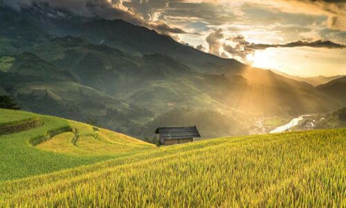 Sapa Best Terraced Rice-fields